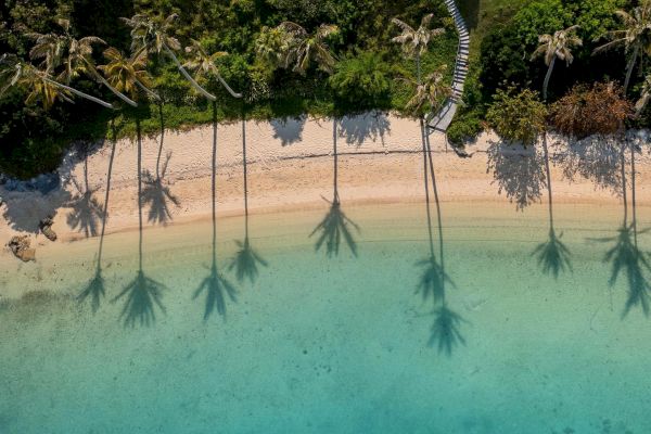 An aerial view of a beach with clear turquoise water, palm tree shadows on the sand, and several houses with grass lawns lined up at the top.