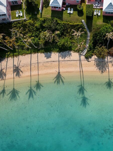 Beach shoreline with people swimming in clear turquoise water, palm trees lining the sandy shore, and sunlit loungers in the background.