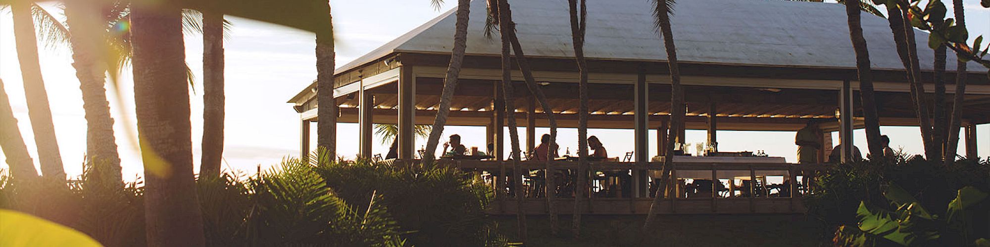 A serene tropical scene with a pavilion among palm trees, with people inside, possibly enjoying a meal or gathering, and soft sunlight filtering through.