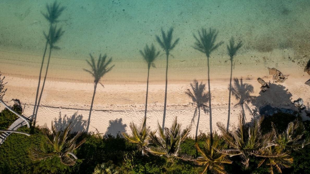 An aerial view of a tropical beach with clear turquoise water, palm trees casting long shadows on the sandy shore, and vegetation in the foreground.