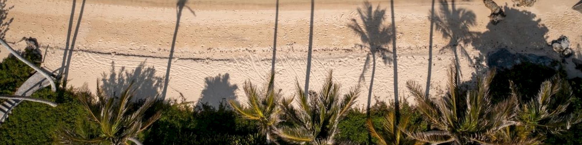 An aerial view of a tropical beach with clear turquoise water, palm trees casting long shadows on the sandy shore, and vegetation in the foreground.