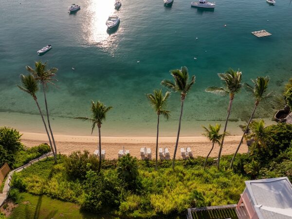 A tropical beachfront with tall palm trees, a sandy shore, clear blue-green water, and boats anchored near a calm bay. End with period.