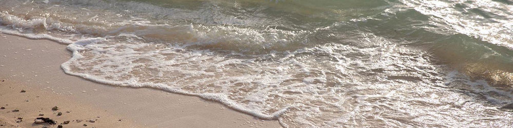 A serene beach scene with gentle waves washing onto the sandy shore, scattered seashells, and footprints in the sand under the sunlight.