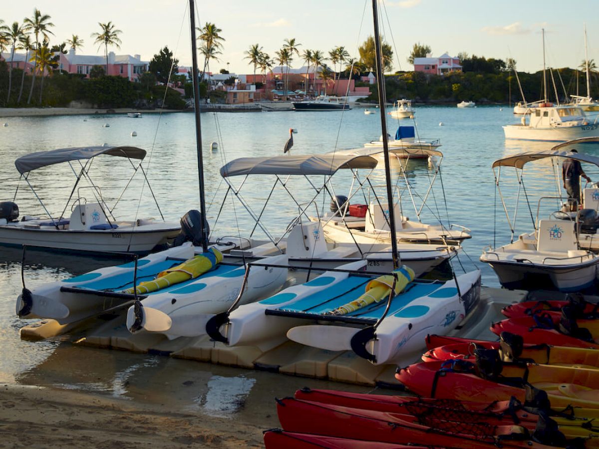 The image showcases a dock with boats and kayaks, set against a tranquil bay with palm trees and buildings in the background under a blue sky.