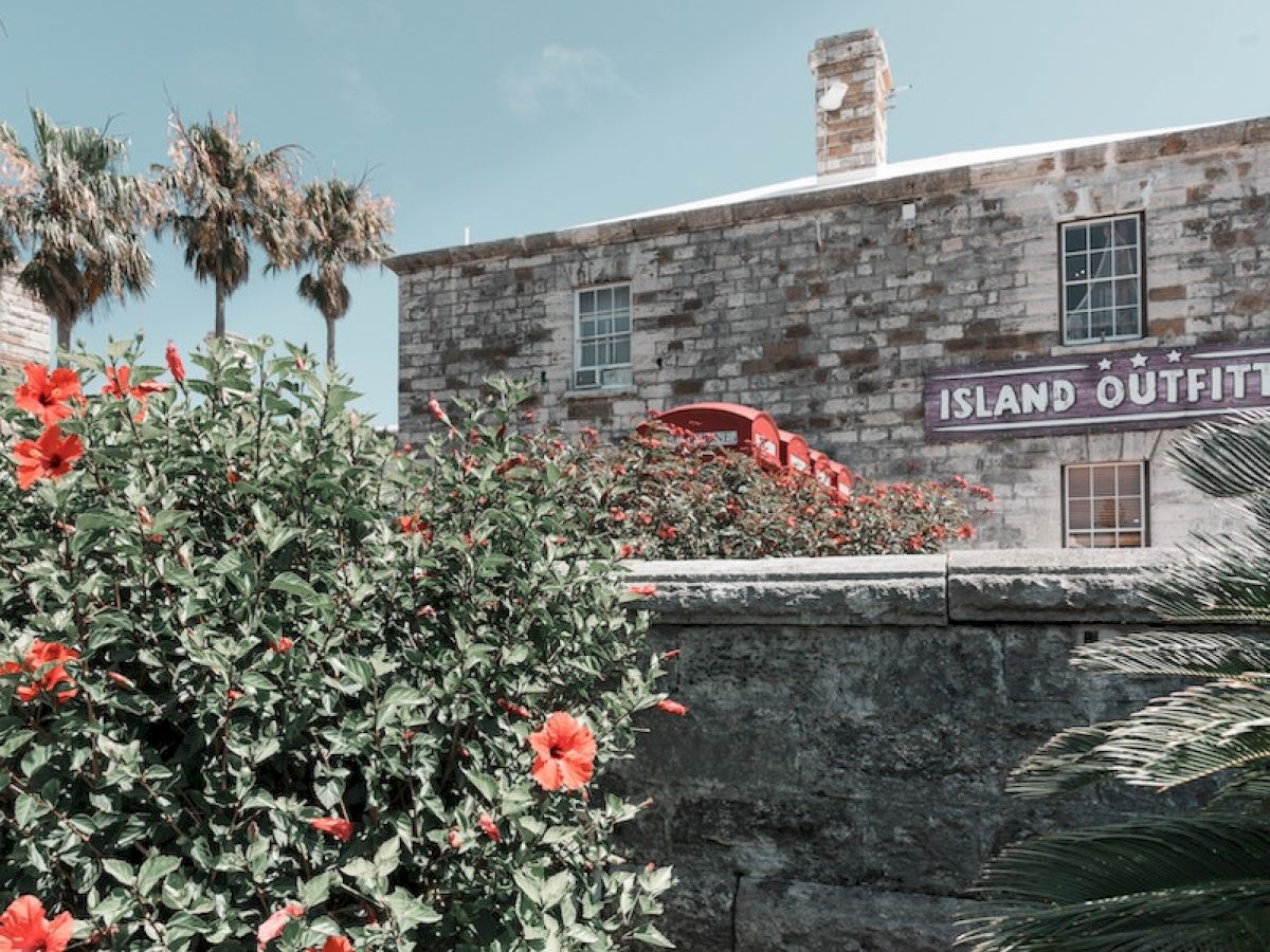 A stone building labeled "Island Outfitters," with red flowers and palm trees in the foreground under a clear sky.