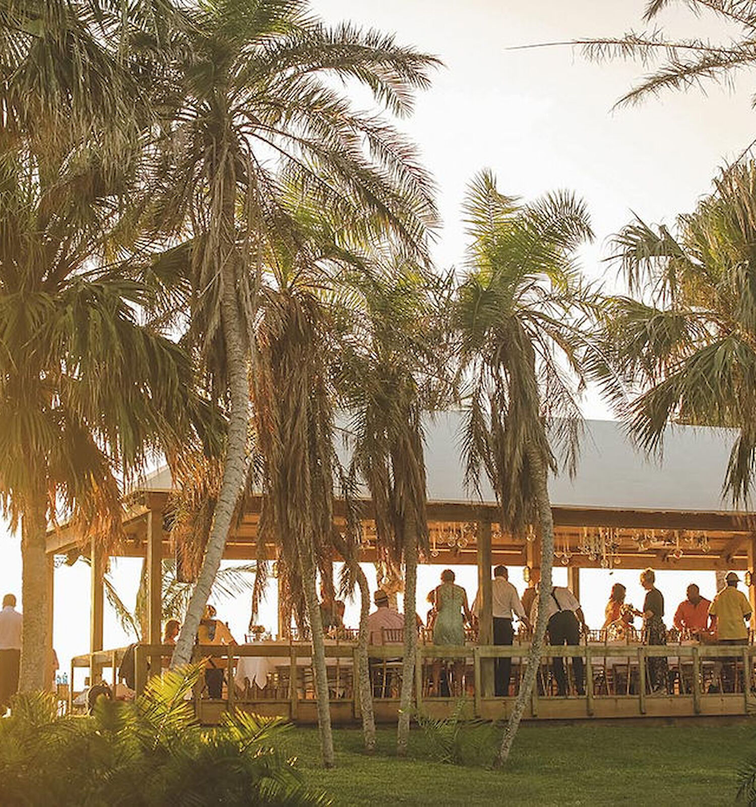 A group of people are gathered under a pavilion surrounded by tall palm trees, on a sunny day, possibly attending an outdoor event or celebration.