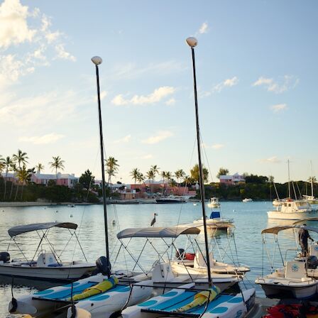 Colorful boats pulled up on a sunny harbor shore, with palm trees, calm blue water, and a few clouds in the sky.