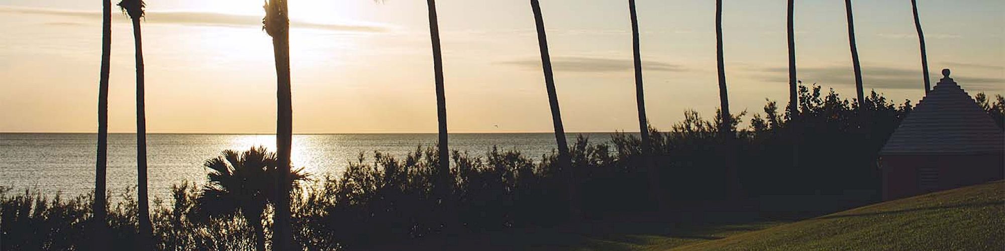 The image depicts a serene beach scene at sunset with tall palm trees silhouetted against the sky and a small hut on the right side.