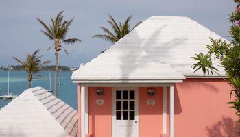 The image shows a pink house with a white roof set against a backdrop of palm trees and a body of water under a clear sky.