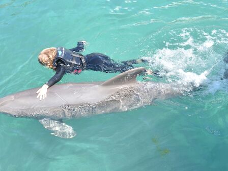 A blonde swimmer in a wetsuit embraces a dolphin in turquoise ocean water as it swims.