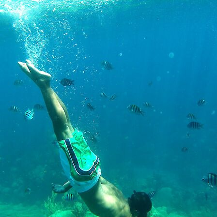 A snorkeler floats underwater, waving amid swarms of striped fish in clear blue water.