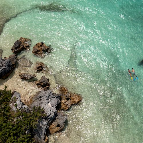 An aerial view shows a rocky shoreline with lush greenery, clear turquoise water, and two people snorkeling near the shore.
