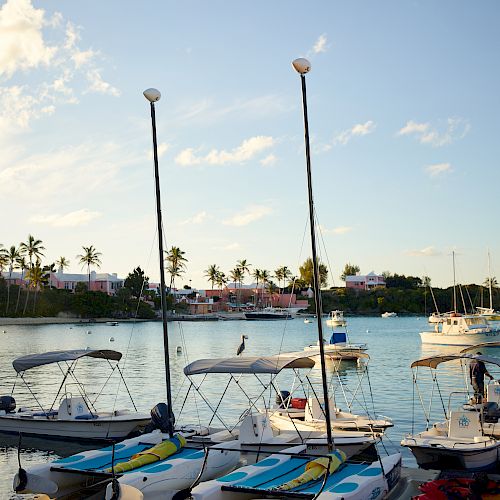 The image shows a small marina with sailboats and other watercraft docked, against a backdrop of water, palm trees, and distant houses under a blue sky.