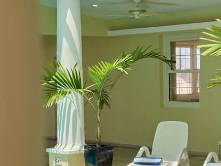 An indoor pool area with two white lounge chairs, a potted plant, and a ceiling fan, featuring a glass roof allowing sunlight to come through.