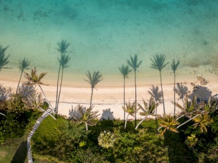 Aerial view of a tropical beach with turquoise water, white sand, palm trees, and their shadows cast on the sand.