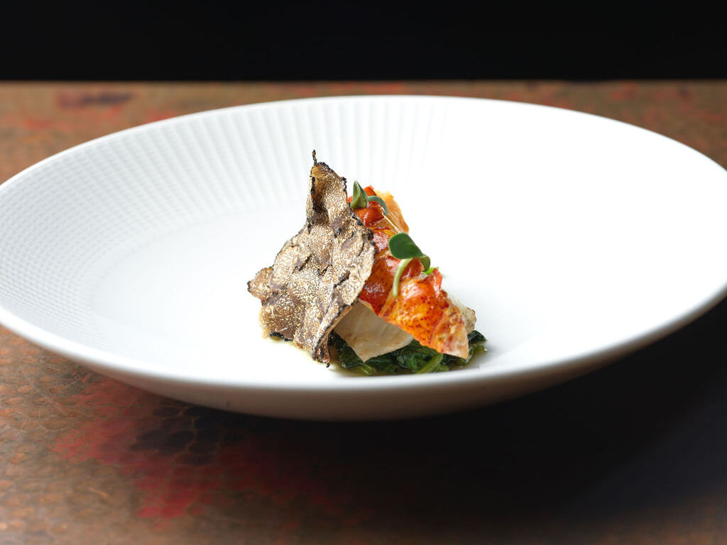 A white plate holds a gourmet appetizer: crisp fried fish topped with tomato sauce, greens, and herbs.