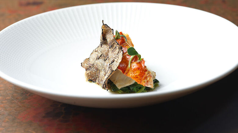 A white plate holds a gourmet appetizer: crisp fried fish topped with tomato sauce, greens, and herbs.