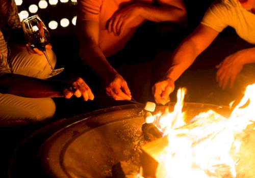 People are gathered around a fire, roasting marshmallows on skewers. One person is holding a glass, possibly with a beverage in it.