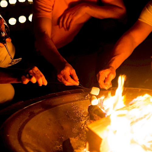 People are gathered around a fire, roasting marshmallows on skewers. One person is holding a glass, possibly with a beverage in it.