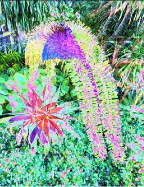 The image depicts vibrant, colorful plants and foliage in a lush garden setting. The scene is filled with various shades of green, purple, pink, and yellow flowers.