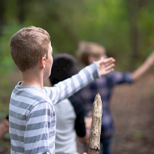 Three children in a forest, one holding a stick and pointing forward, the other two are also gesturing ahead, possibly exploring a path together.