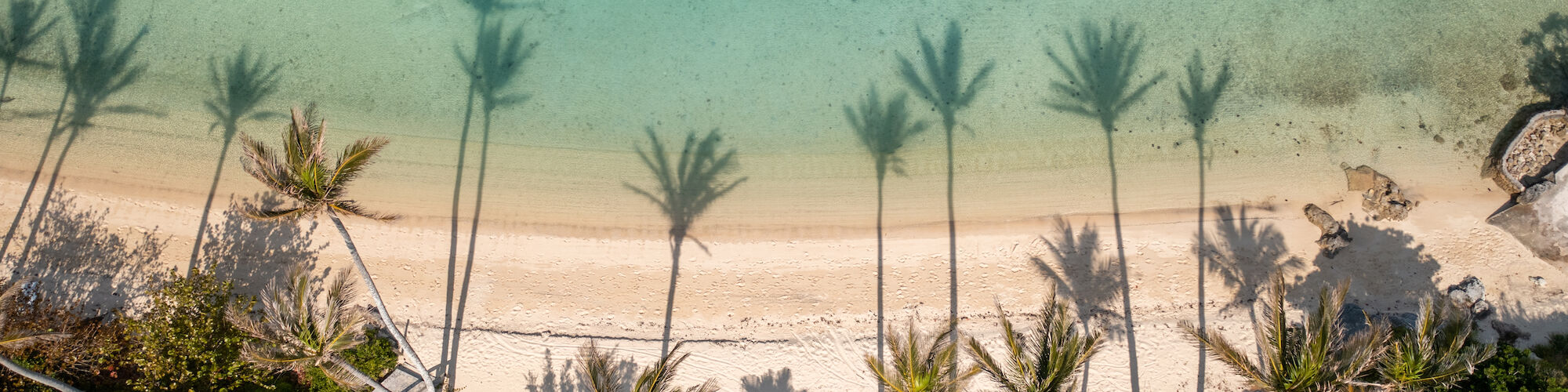 An aerial view of a tropical beach with clear turquoise water, sand, and tall palm tree shadows extending over the shoreline.
