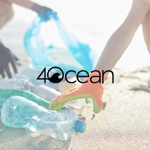 People are cleaning a beach, picking up plastic bottles with 4ocean branding visible.