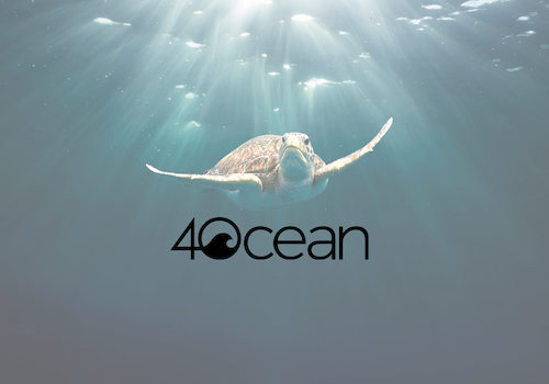 A sea turtle swimming underwater with sunbeams filtering down, and the "4Ocean" logo is prominently displayed.