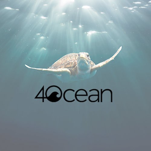 A sea turtle swimming underwater with sunbeams filtering down, and the "4Ocean" logo is prominently displayed.