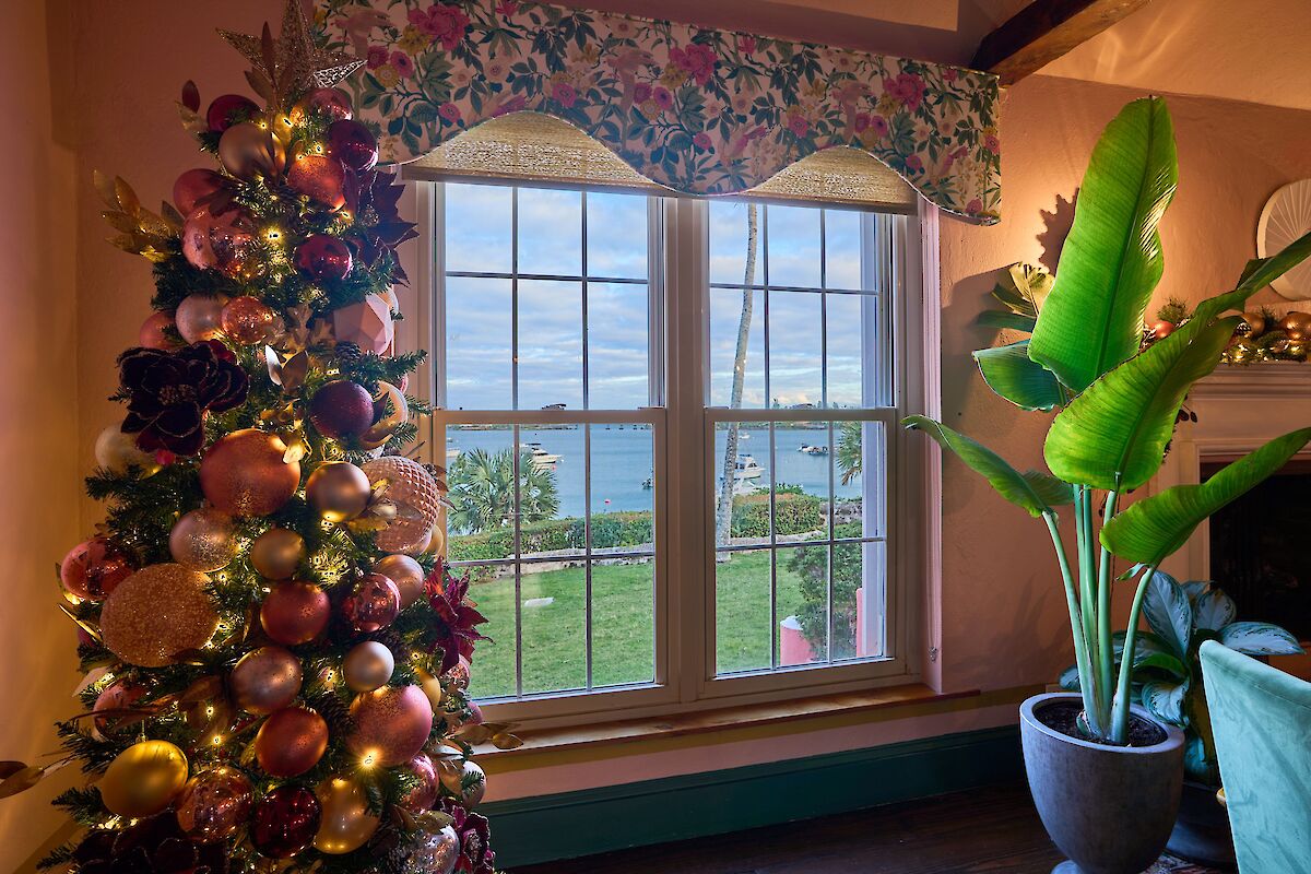 A decorated Christmas tree and a large potted plant sit by a window overlooking a scenic outdoor view with grass and water.