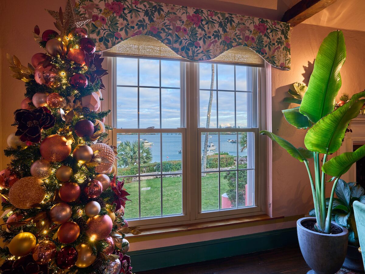 A decorated Christmas tree and a large potted plant sit by a window overlooking a scenic outdoor view with grass and water.