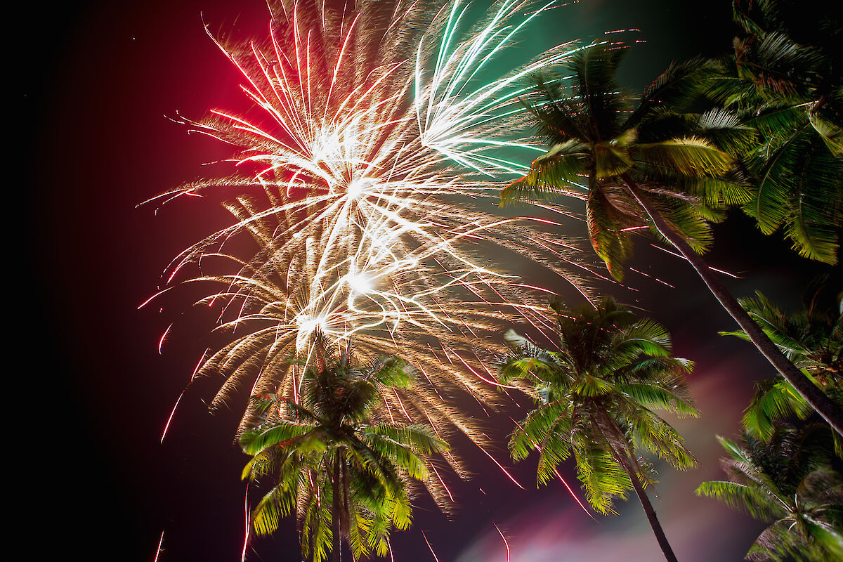 Fireworks light up the night sky, bursting in vibrant colors above tall palm trees, creating a festive and tropical atmosphere.