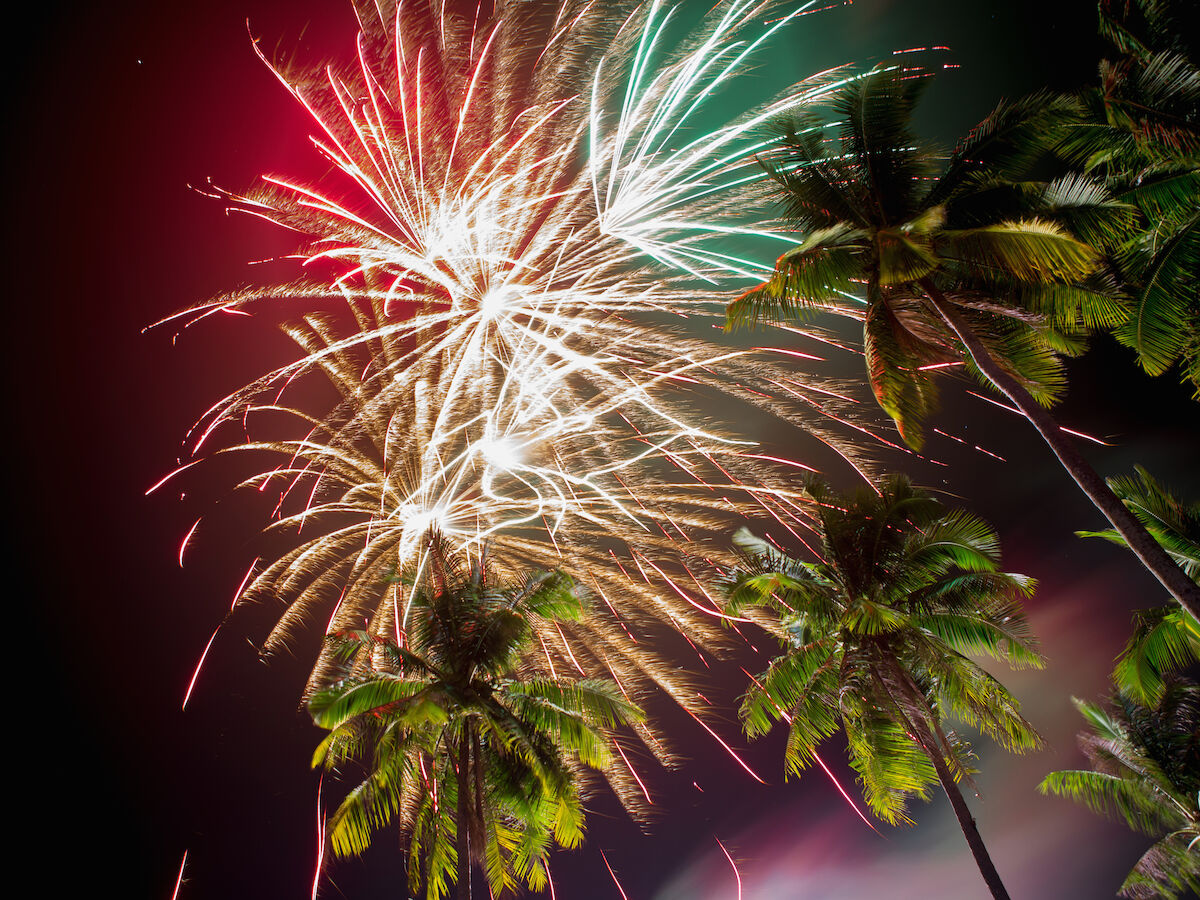 Fireworks light up the night sky, bursting in vibrant colors above tall palm trees, creating a festive and tropical atmosphere.