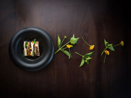 A black bowl of grilled fish/tofu topped with green onions and yellow crumbs, with fresh mint-like sprigs on dark wood.