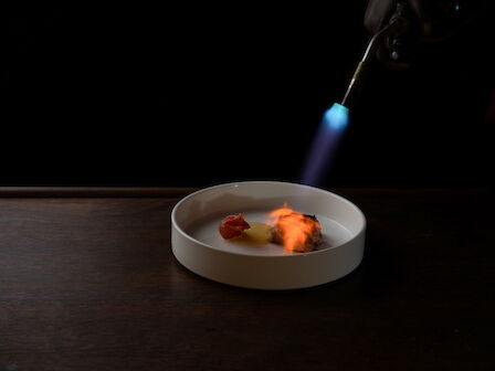 A chef torch flamb&eacute;s food in a white bowl, with orange flames glowing in a dark, cinematic setting.