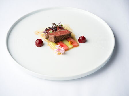 A plated steak with sliced vegetables, microgreens, and berries sits on a white dish with sauce.