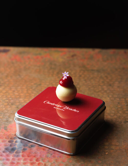 A red tin with "Chocolatier Palet d’Or" text holds a small dessert topped with a red glaze and a tiny flower on a textured surface.