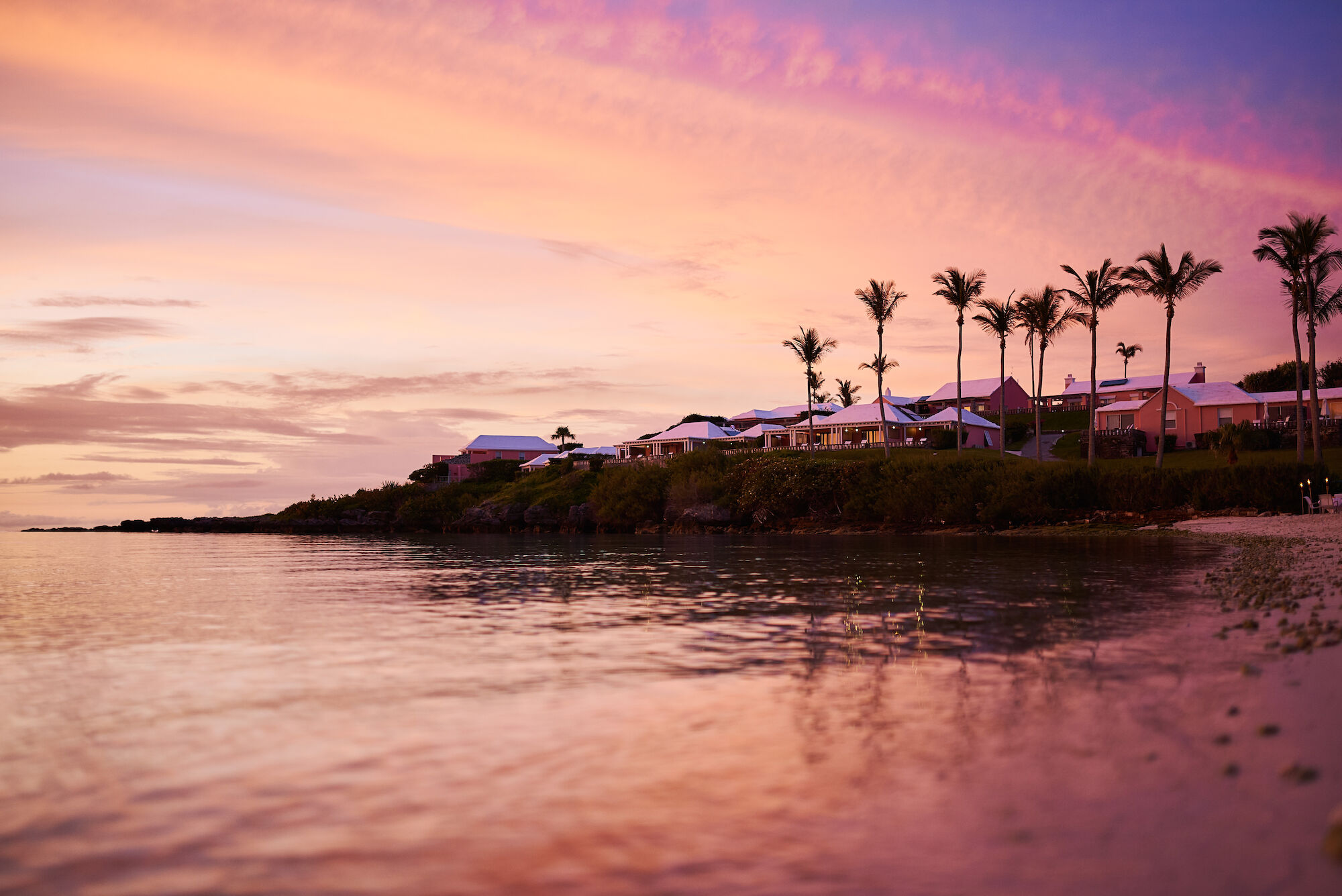 A tranquil beach at sunset with palm trees, pastel sky, and calm waters reflecting pink and purple hues.