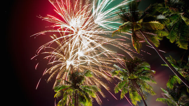 The image captures a colorful fireworks display lighting up the night sky, with tall palm trees in the foreground.