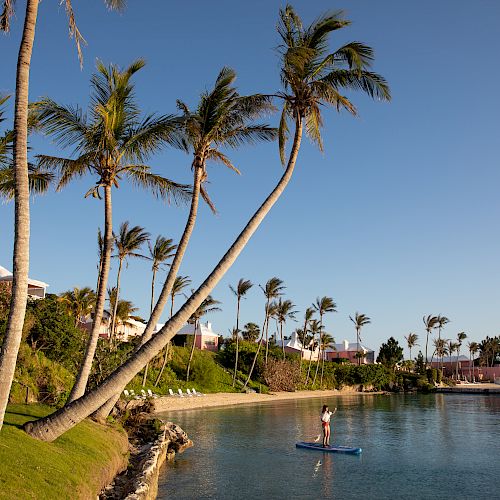 A person is paddleboarding on calm water near a lush, palm tree-lined shore with houses in the background under a clear blue sky.