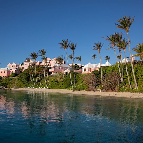 The image displays a serene beachfront with calm blue water, palm trees lining the shore, and pink buildings in the background under a clear sky.