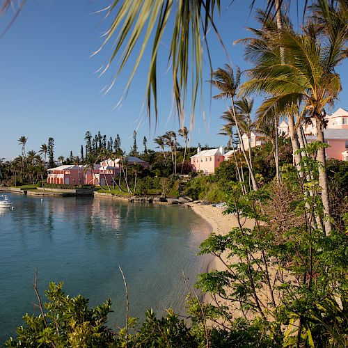 A coastal scene featuring pink houses, palm trees, a sandy beach, and clear blue water with a boat anchored offshore under a bright blue sky.